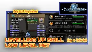 TORAM ONLINE | Levelling Up Pet Skill