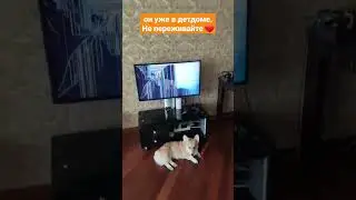 👋