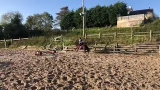 Horse Falls and Fails 5