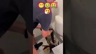 Будни сантехника 😬