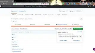 27  rename git remote repository