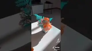 C’est beau non ?