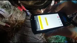 Практика использования мобильного ТСД ветврача