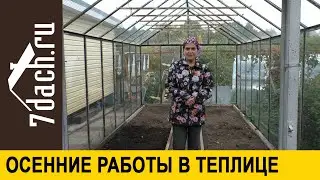Как подготовить теплицу к следующему сезону, чтобы получить отличный урожай - 7 дач