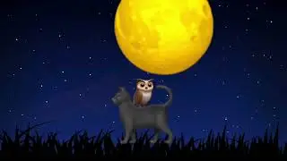 Bat, Owl and a Cat: Halloween Tune 🌟