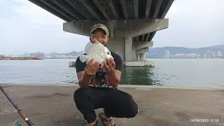 #EP886