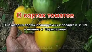 О сортах томатов  Планируем на следующий сезон.