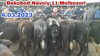 Bekobod Navoiy 11 Molbozori 4.03.2023