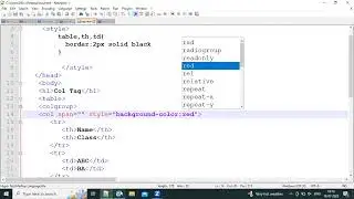 How to use col tag in table using HTML | HTML col tag