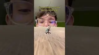 É impossível fazer 1000 pontos nesse jogo de gaymer!! 