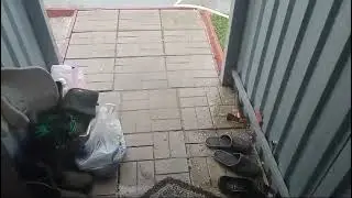 13 августа 2024 г.