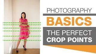 PHOTOGRAPHY BASICS | The Perfect Crop Points