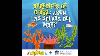 Arrecifes de coral: ¿son las selvas del mar?