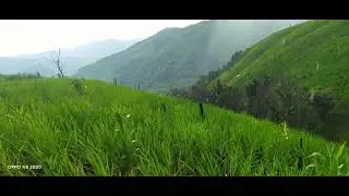 Thlarau lam zai