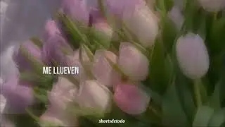 EN CAMBIO NO/LAURA PAUSINI(letra)lyrics