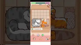 CAT PUZZLE 000009