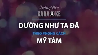KARAOKE Dường Như Ta Đã - Mỹ Tâm