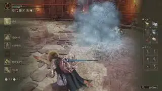 가고일의 쌍날검 Elden Ring PVP 24.01.10