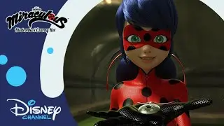 💪 W grupie siła | Miraculous: Biedronka i Czarny Kot | Disney Channel Polska