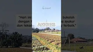 Hadiah, Syukur, Tekad #quotes #motivasi #katakatabijak #shortsvideo #shorts #short #quote #sukses
