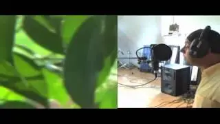 Deep Forest - Amazonia