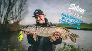 Poldersnoek met de Salmo Slider en Fatso