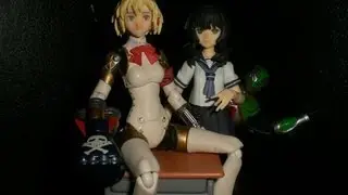 Mandarake (Fukuoka) Figma Haul - Yomi Takanashi, Aigis & Kamen Rider Camo