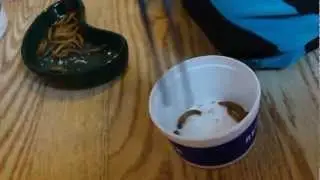 4 year old feeds PUMPKIN the BEARDED DRAGON