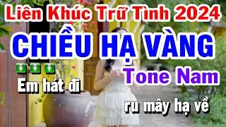 Karaoke Liên Khúc Trữ Tình 2024 Beat Hay Tone Nam - Chiều Hạ Vàng | Huỳnh Lê
