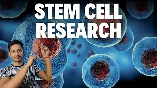 The Breakthroughs in Stem Cell Research and Regenerative Medicine: A New Era of Healing