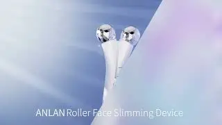 ANLAN Face Roller Massager Hot Compress EMS