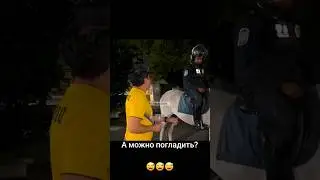 А можно погладить пранк прикол юмор 