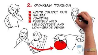 Obstetrics and Gynecology – Pelvic Pain: By Leslie Po M.D.