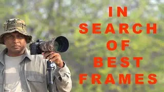 In search of capturing  best frames - 4K