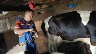 3 июля 2021 г.