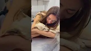 I said goodbye to my little dog… 💔🕊️