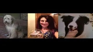 Tribute Sharon, Jack, and Bandit 2014