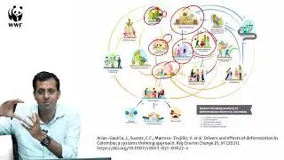 Systems Approach | Become an Eco-Gamer | One Planet Academy