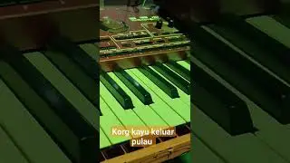 korg kayu #music #korgpa #hadroh #musiceducation  #tutorialmusic #keyboard #darbuka #korgpa5x