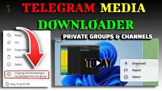 How to Download Photos & Videos from Private Telegram Channels (100% Working!)