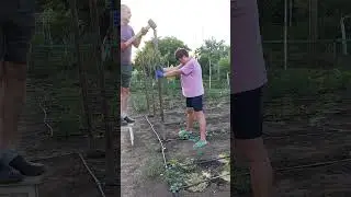 Это вам вместо стрима...😁