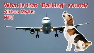 MYSTERIOUS BARKING SOUND on AIRBUS? All about the PTU explained by 
