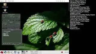 Balance (XMMS, RedHat Linux 8, VMware Workstation 17)