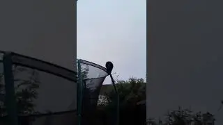 😂😂😂