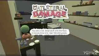 Watch Us Play Catlateral Damage