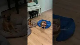 Тусим в клубе Альфабульс