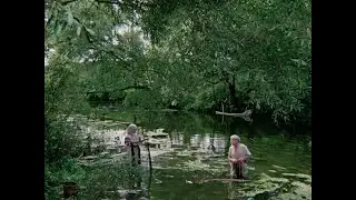 Формула любви: Ипохондрия всегда на закате делается