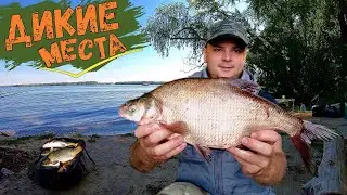 Fishing on the Dnieper. Distribution of Bream, Crucian Carp and ....