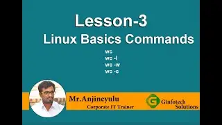 Word count Command in Linux