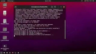 33 how to uninstall a program using apt